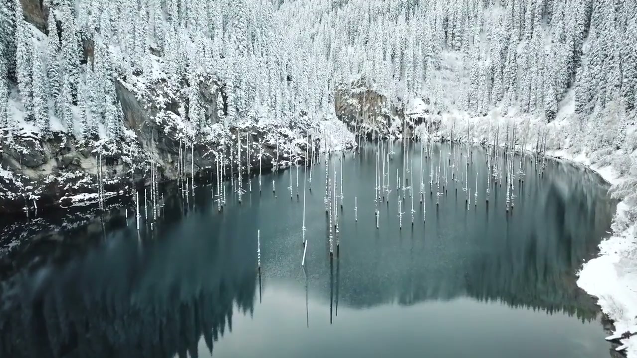 The submerged forest at Lake Kaindy in snow
